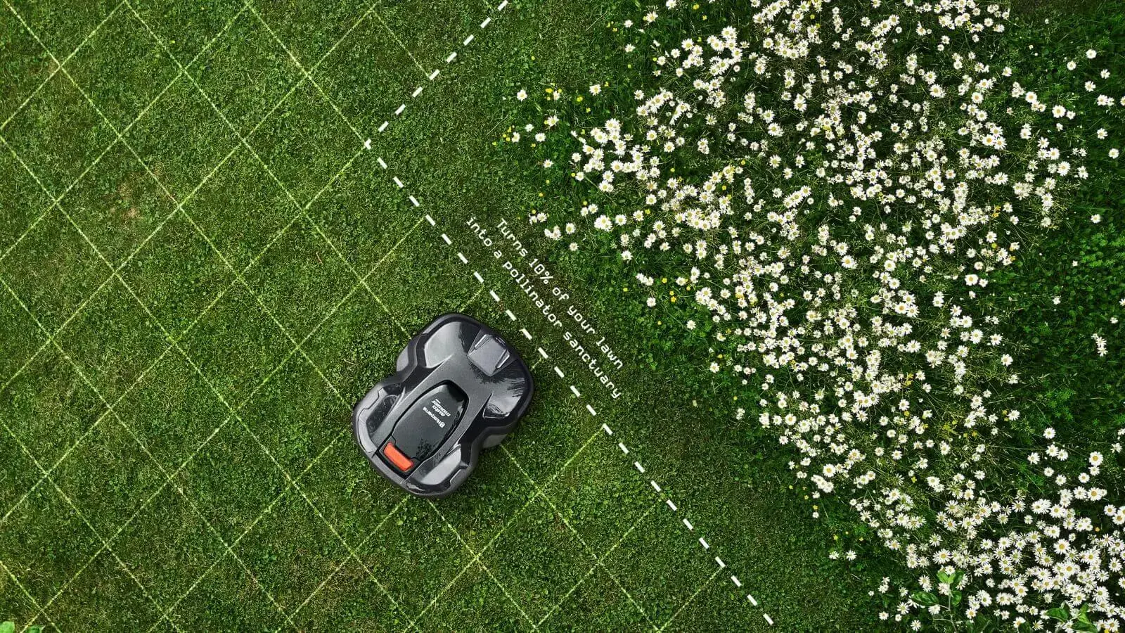 Husqvarna robotic mower leaving a wildflower area unmown