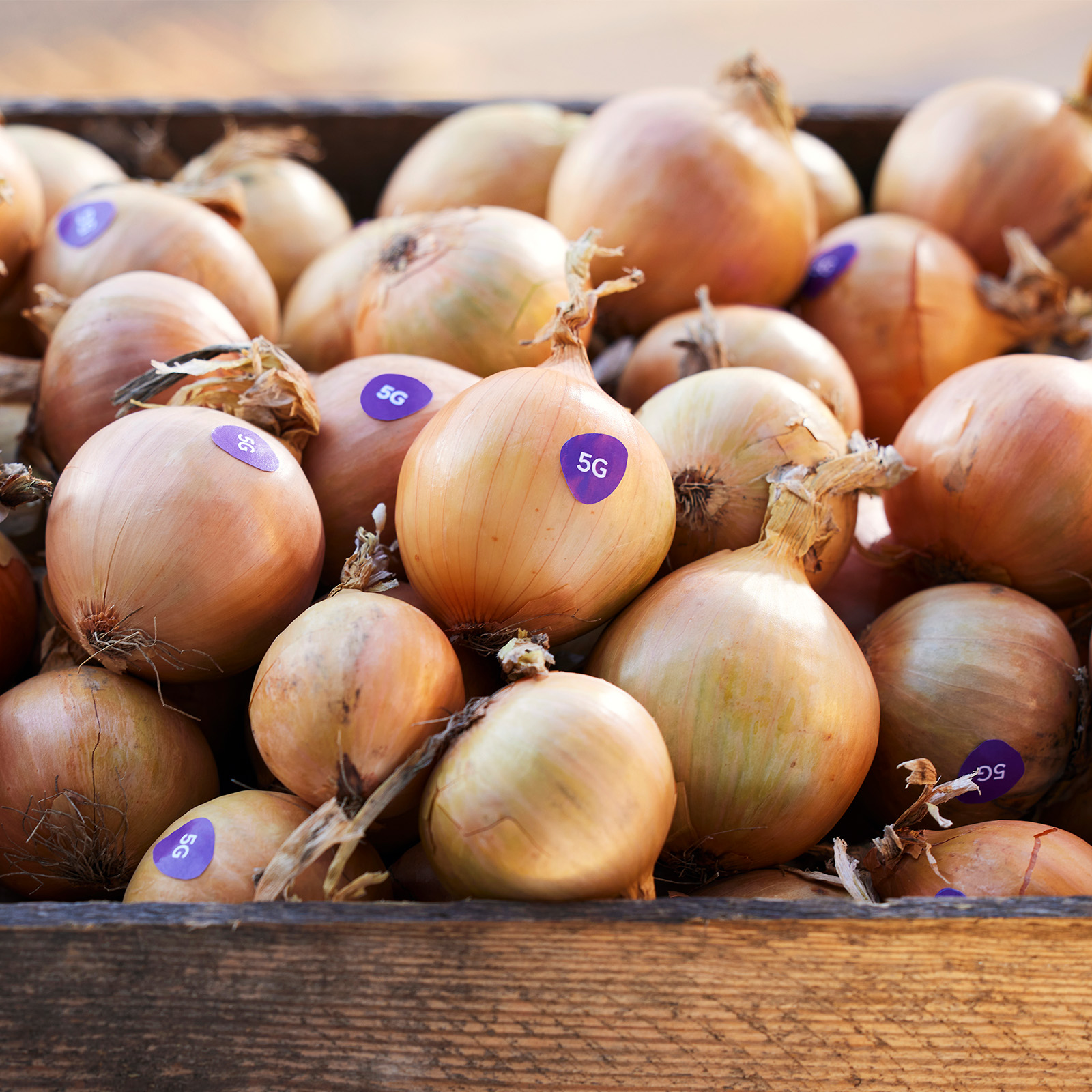 Crate of onions with purple 5G stickers